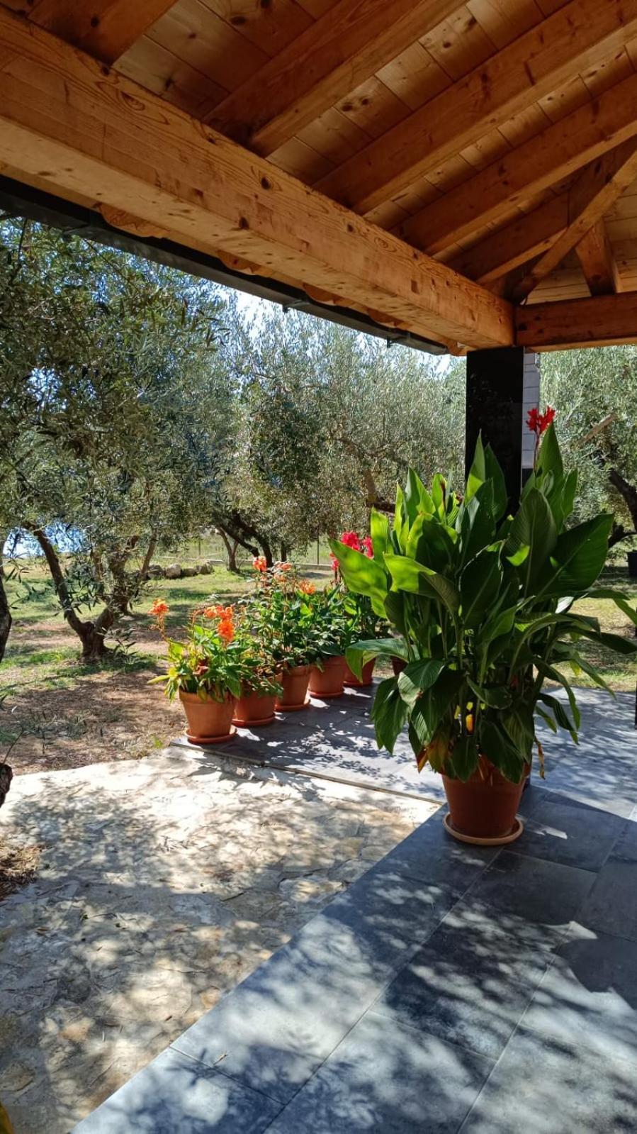 Olive Garden Apartment Molunat Esterno foto