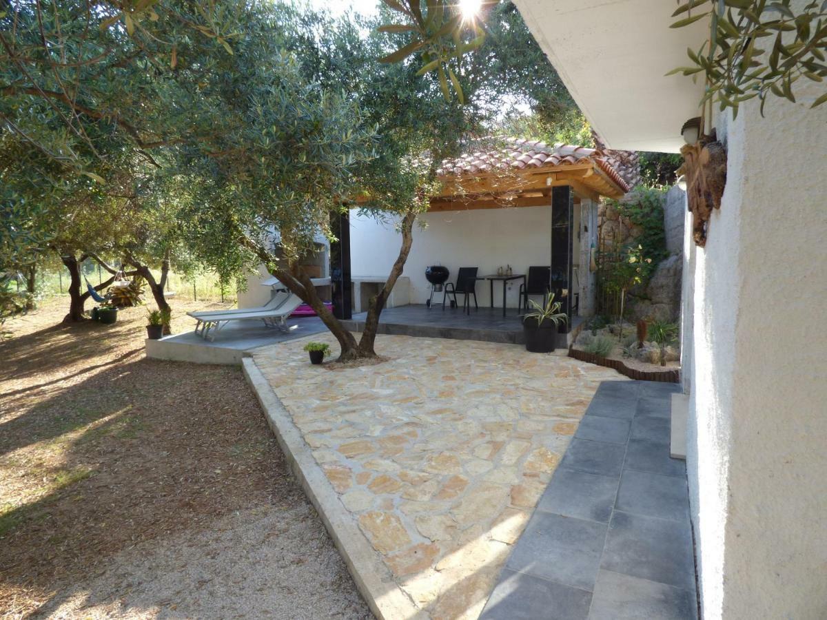 Olive Garden Apartment Molunat Esterno foto
